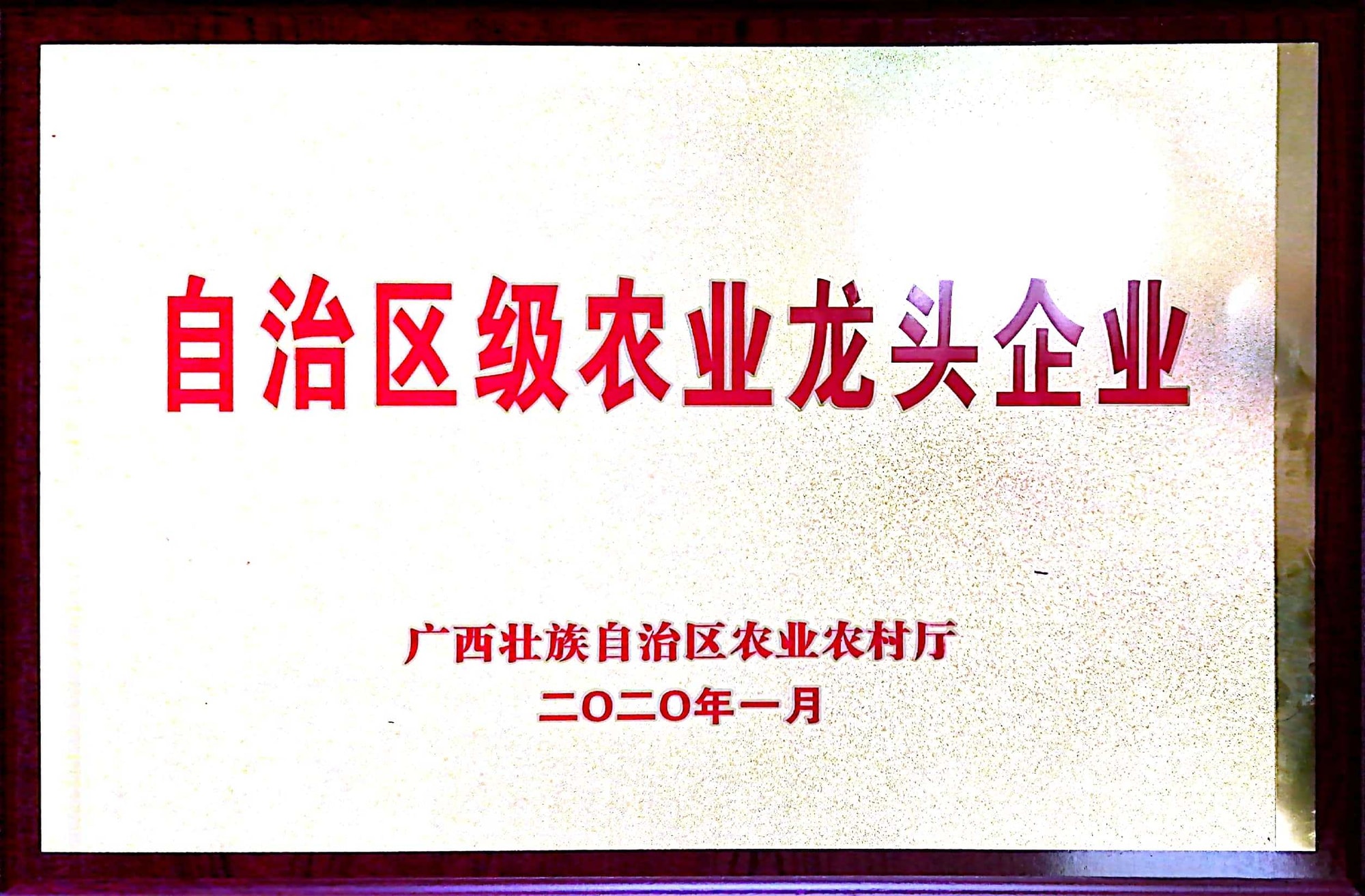 自治区级农业龙头企业原件